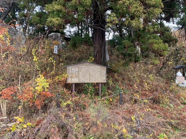 上山市生居の「化け石」全体を撮影した写真