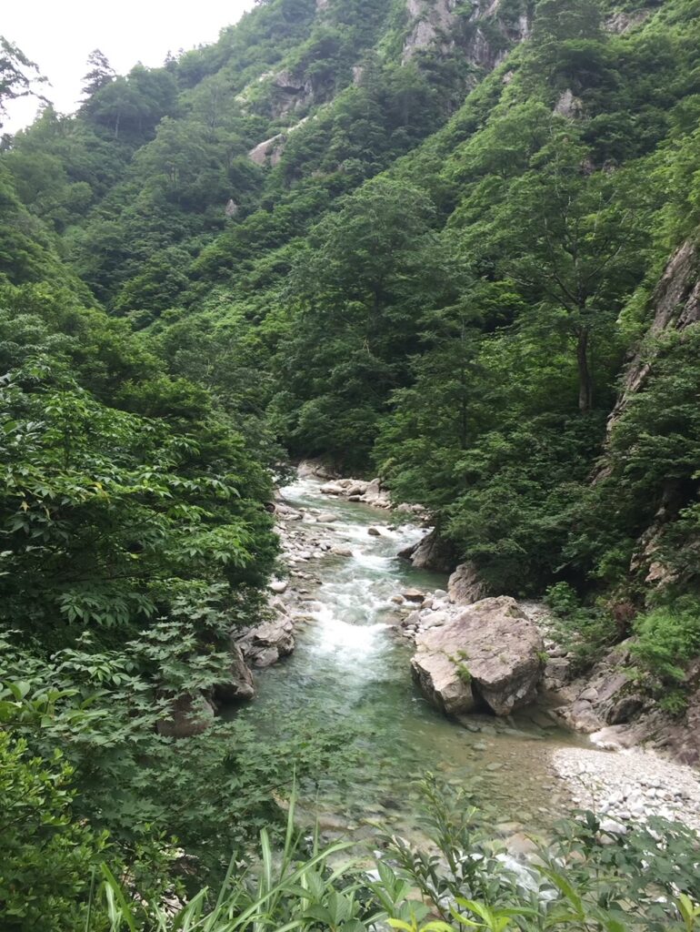 「以東岳」登山道からの様子を撮影した写真