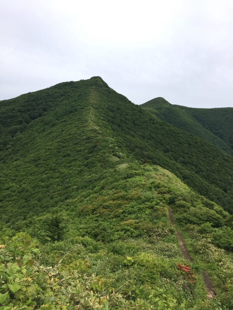 ハマグリ山を通過した後の登山道から眺めるトンガリ山を撮影した写真